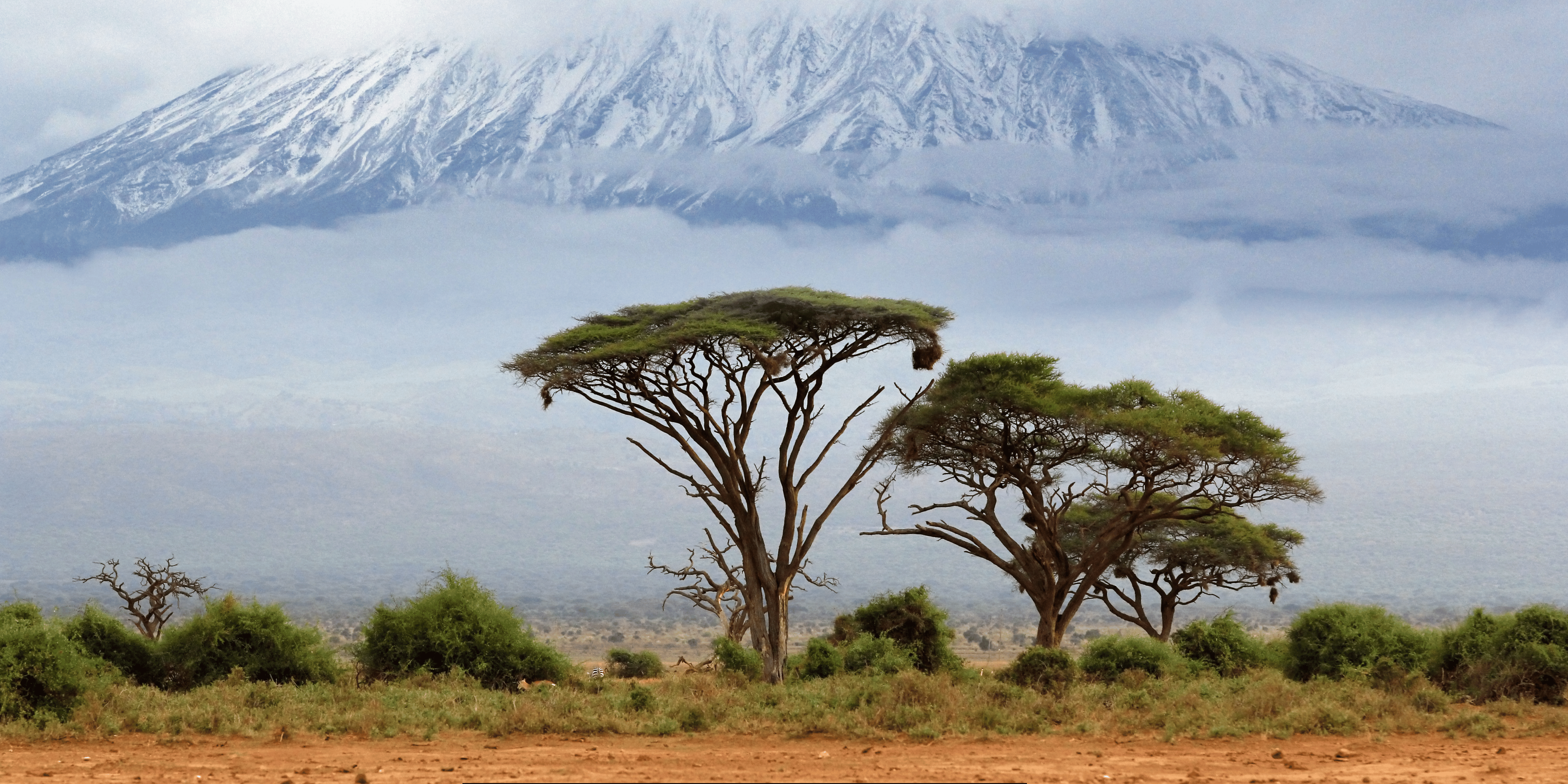 Mount Kenya