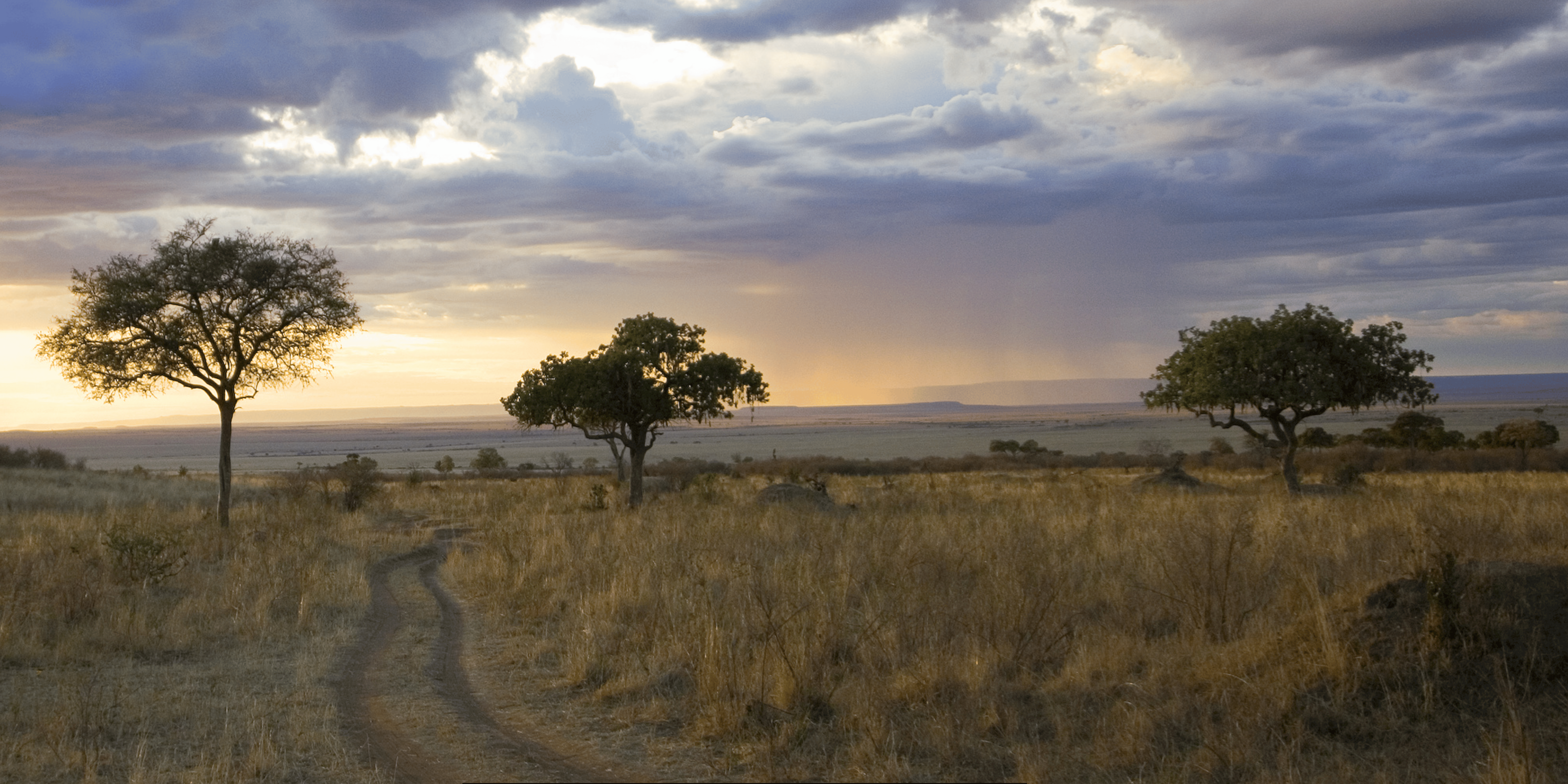 Round Safari Destination