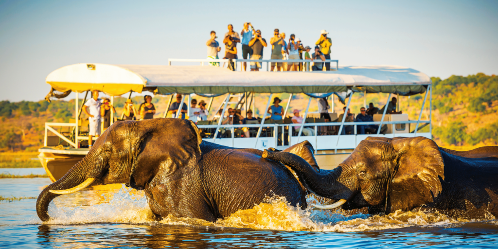 Dream African Safari