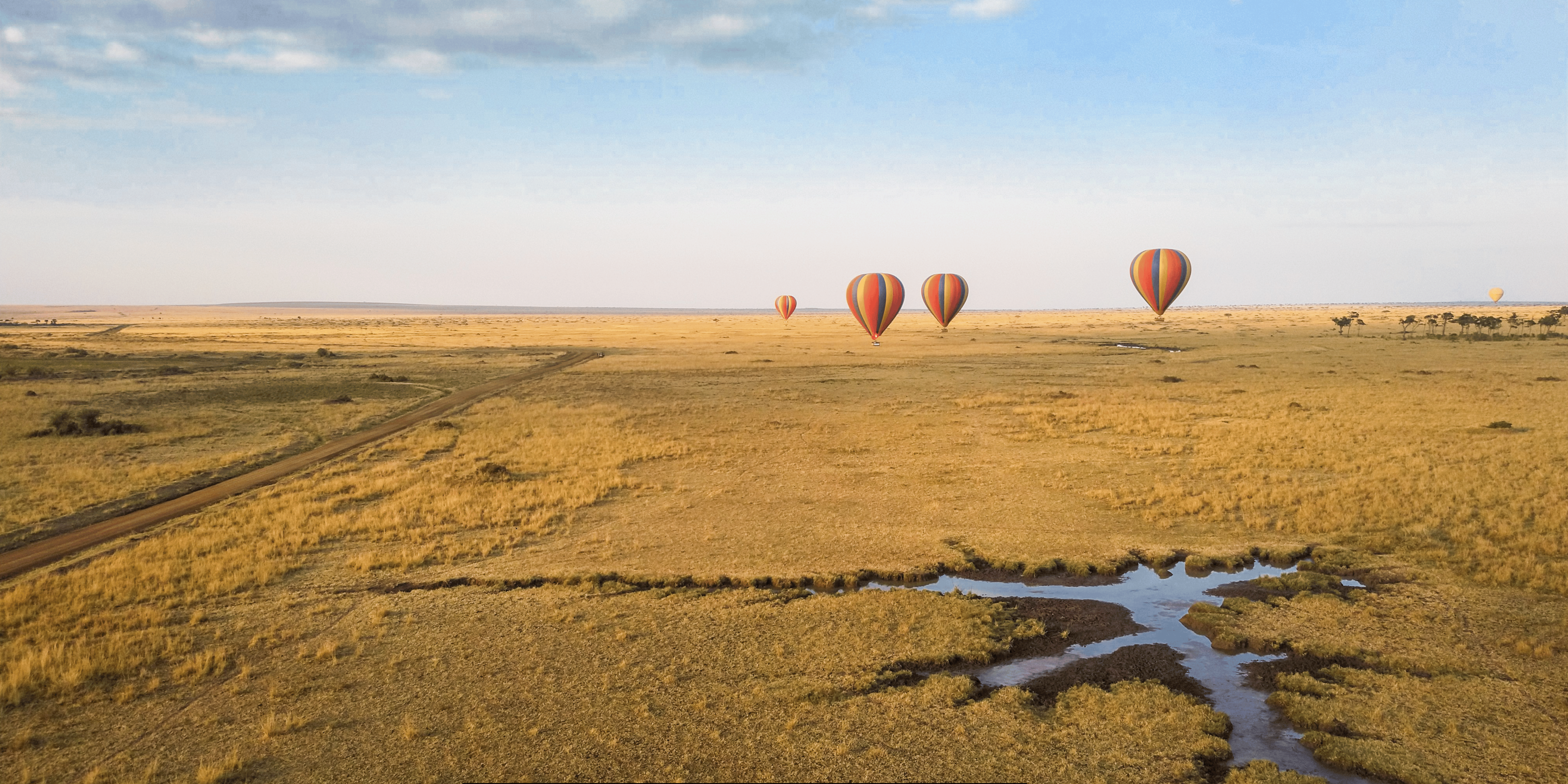 Kenya and Tanzania Safaris