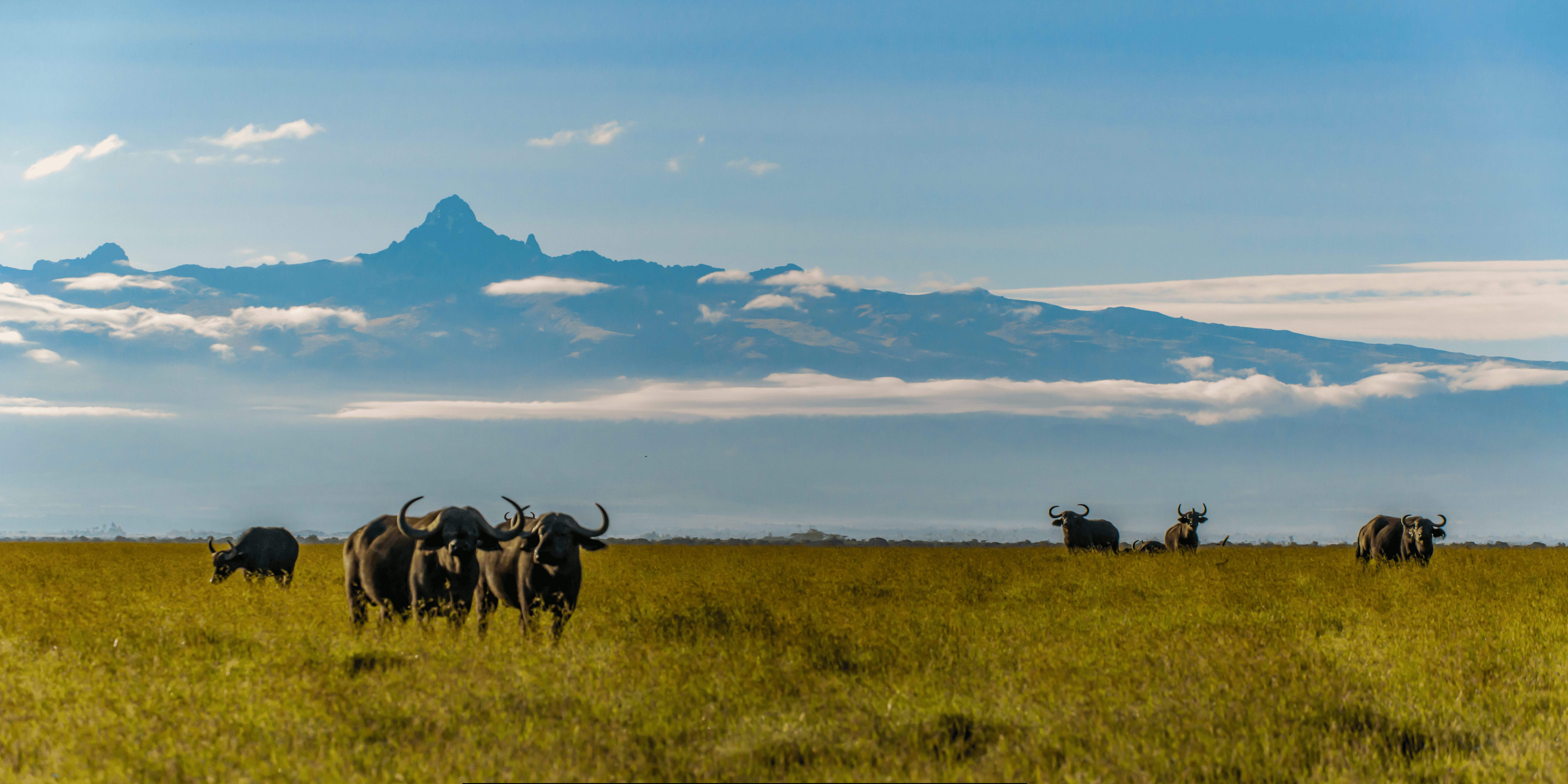 Kenya and Tanzania