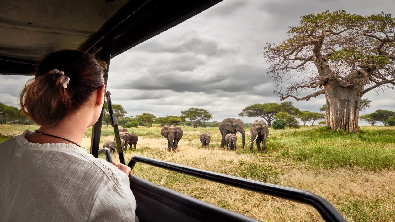 Pricing Determinants of African Safari Tours