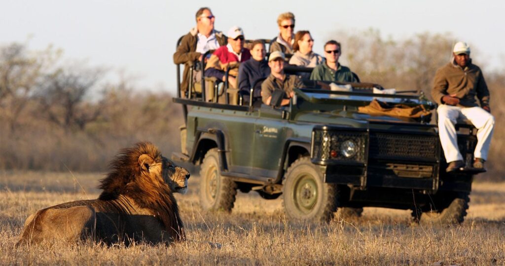 African Safari Tours